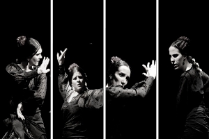El Premio Provincial de Danza ya tiene sus primeros ganadores y ganadoras